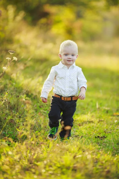 Pequeño niño caminando en la naturaleza —  Fotos de Stock