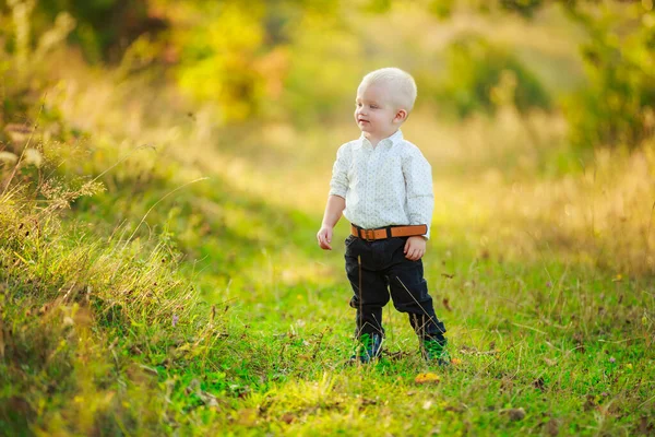 Niño Pequeño Caminando Parque —  Fotos de Stock