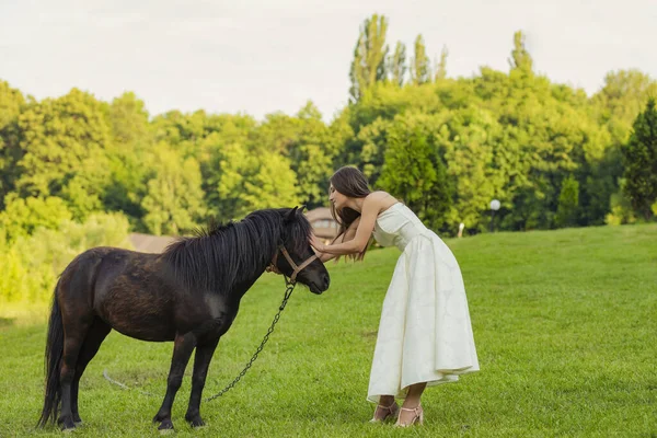 女人爱抚站在草坪上的小马 — 图库照片
