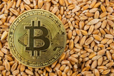 Bitcoin buğday tanesine yatar