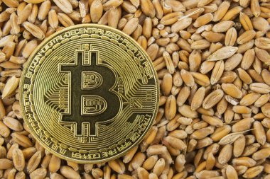 Bitcoin buğday tanesine yatar