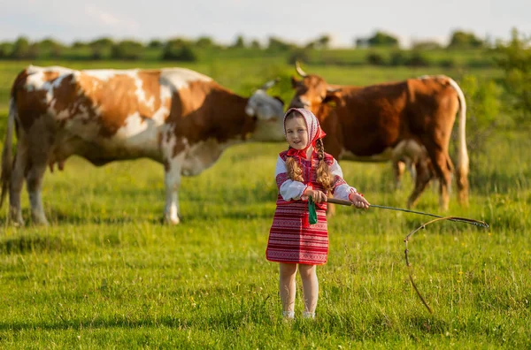 Niño cuidando vacas —  Fotos de Stock
