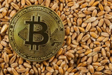 Bitcoin buğday tanesine yatar