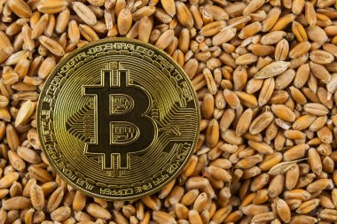 Bitcoin buğday tanesine yatar