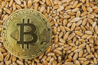 Bitcoin buğday tanesine yatar