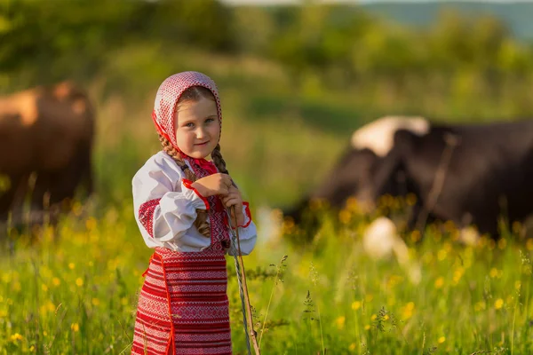 Niño cuidando vacas —  Fotos de Stock