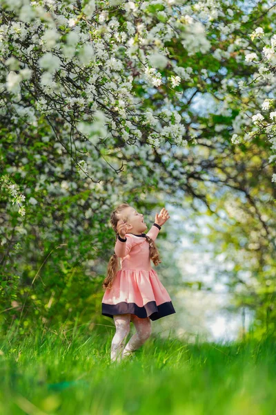 Barn går genom en blommande äppelträdgård — Stockfoto