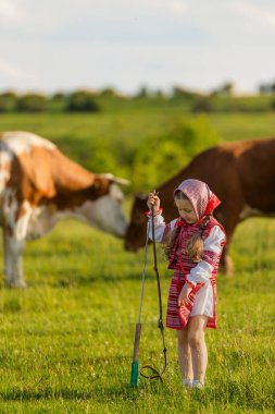 Küçük kız ineklerle ilgileniyor.