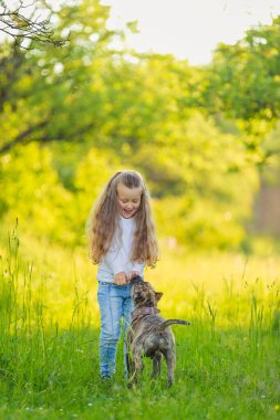 Kız köpekle oynuyor.