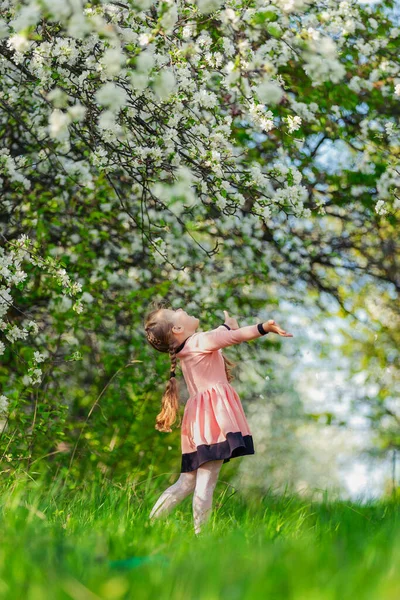 Criança caminha através de um pomar de maçã florescendo — Fotografia de Stock