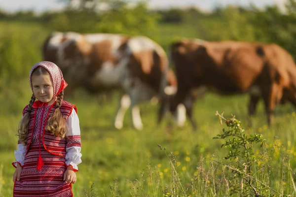 Kleines Mädchen hütet Kühe — Stockfoto