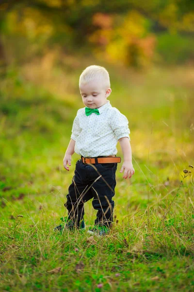 Niño caminando en la naturaleza —  Fotos de Stock