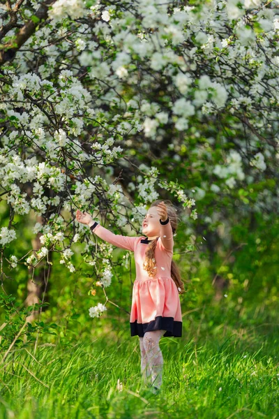 꽃피는 사과 과수원을 거닐고 있는 아이 — 스톡 사진