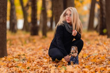 Köpeği olan kız Yorkshire teriyeri.