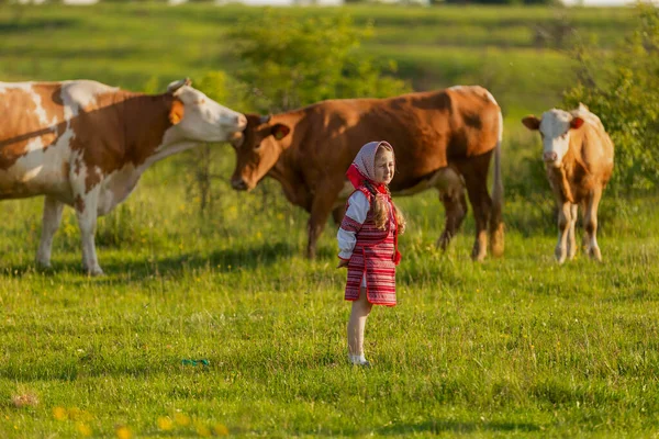 Liten flicka vårdar kor — Stockfoto