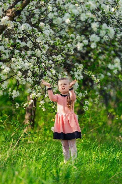 꽃피는 사과 과수원을 거닐고 있는 아이 — 스톡 사진