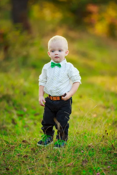 Little boy walking in nature — Stock Photo, Image