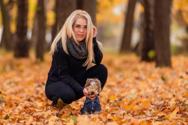 Köpeği olan kız Yorkshire teriyeri.