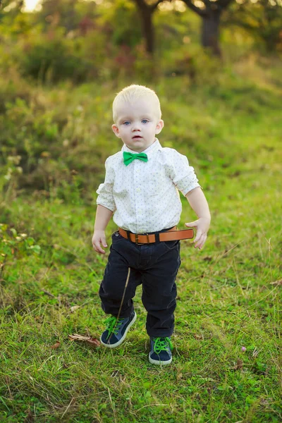 Doğada yürüyen küçük çocuk