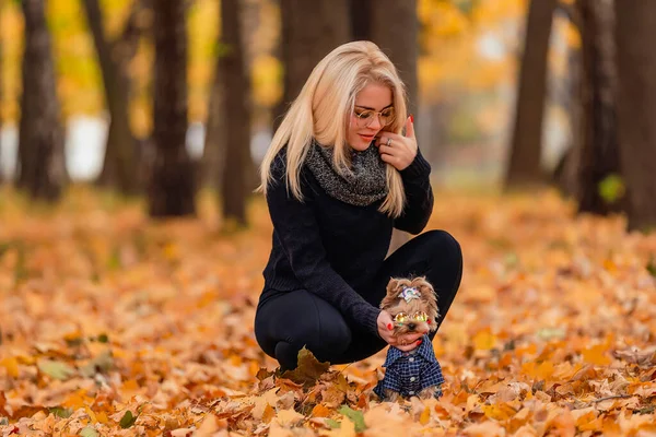 Dziewczyna z psem Yorkshire terrier rasa — Zdjęcie stockowe