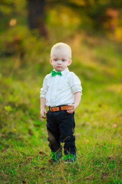 Doğada yürüyen küçük çocuk