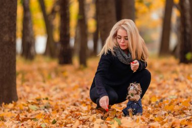 Köpeği olan kız Yorkshire teriyeri.