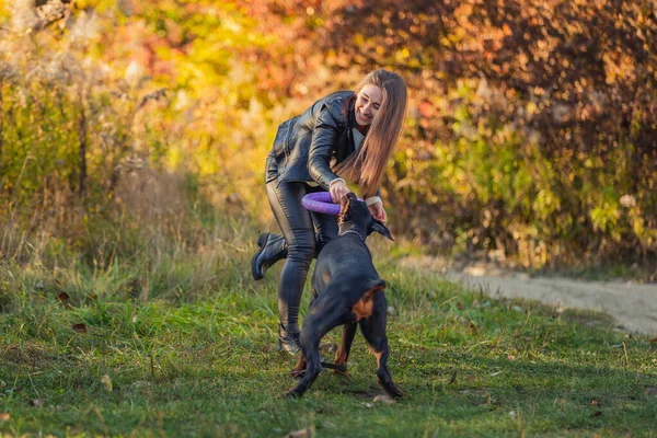 Kız dobermandan sökücüyü almaya çalışıyor.