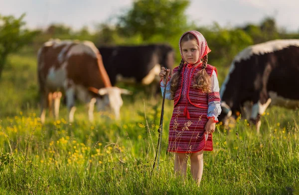 Дівчина в українській сукні пасе корів. — стокове фото