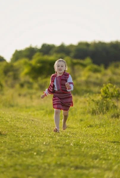 Ukrayna elbiseli kız çimenlerde yürüyor. — Stok fotoğraf