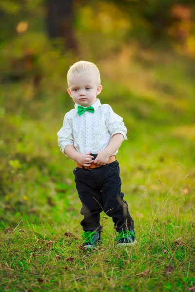 Little boy walking in nature — Stock Photo, Image