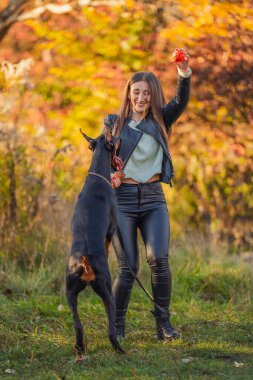 Kız doberman köpeğiyle oynuyor.