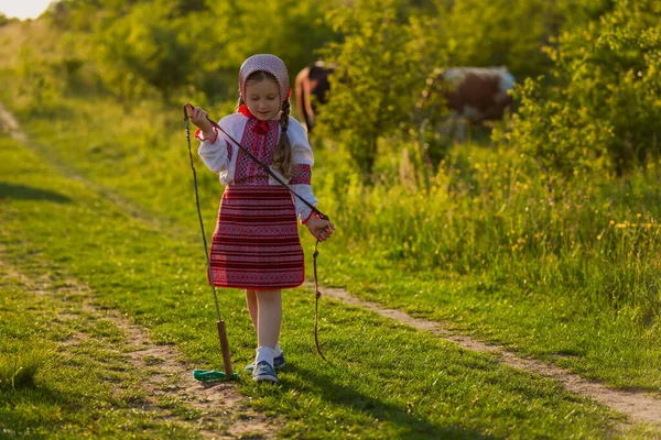 Mädchen im ukrainischen Kleid weidet Kühe — Stockfoto