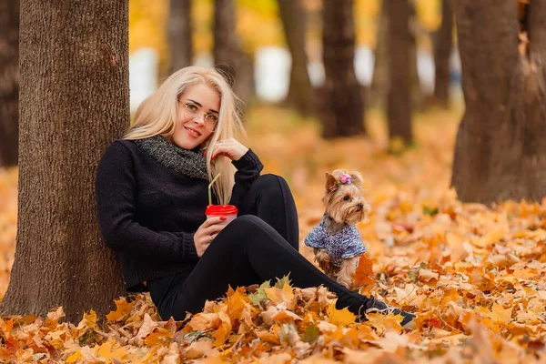 Mädchen mit Hund der Rasse Yorkshire Terrier — Stockfoto