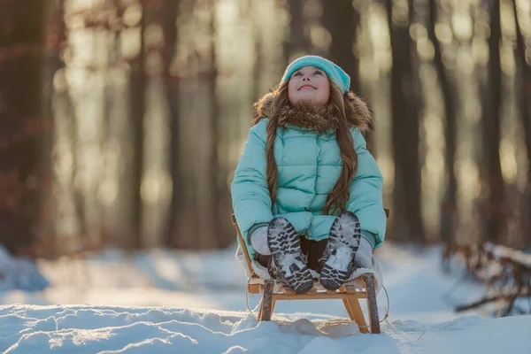 Little girl sitting in a sleigh — ストック写真