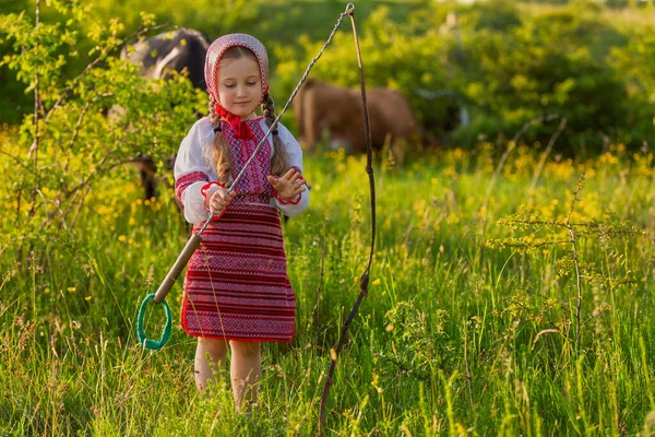 Flicka i en ukrainsk klänning betar kor — Stockfoto