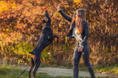 Kız doberman köpeğiyle oynuyor.