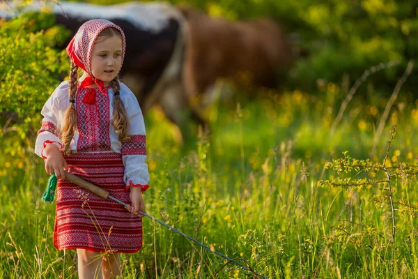 Дівчина в українській сукні пасе корів. — стокове фото