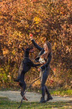 Kız doberman köpeğiyle oynuyor.