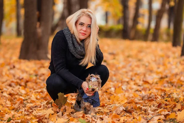 Köpeği olan kız Yorkshire teriyeri.