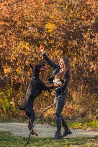 Kız doberman köpeğiyle oynuyor.