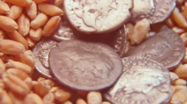 buğday tanecikli eski paralar