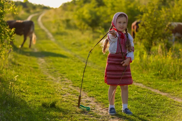 Ukraynalı elbiseli kız inekleri otlatıyor. — Stok fotoğraf