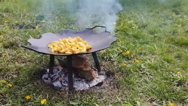 Potatisen är stekt på en tallrik — Stockvideo