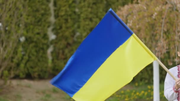 Hullámzó ukrán zászló — Stock videók