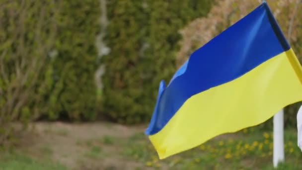 Ondeando bandera ucraniana — Vídeo de stock