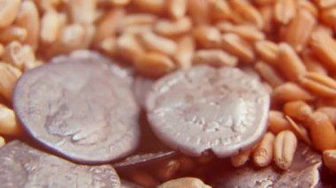 buğday tanecikli eski paralar