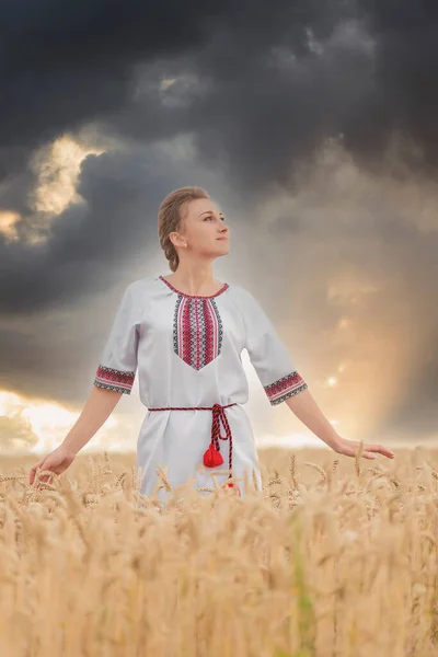 Chica en vyshyvanka en un campo de trigo —  Fotos de Stock