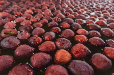 washing red apples in large quantities for further transfer to the packaging line