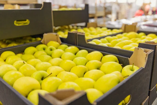 Boxed yellow apples close-up — Foto Stock