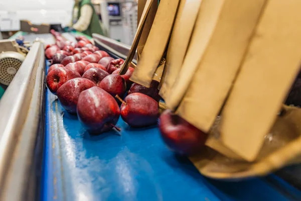 Czerwone jabłka na linii pakowania — Zdjęcie stockowe